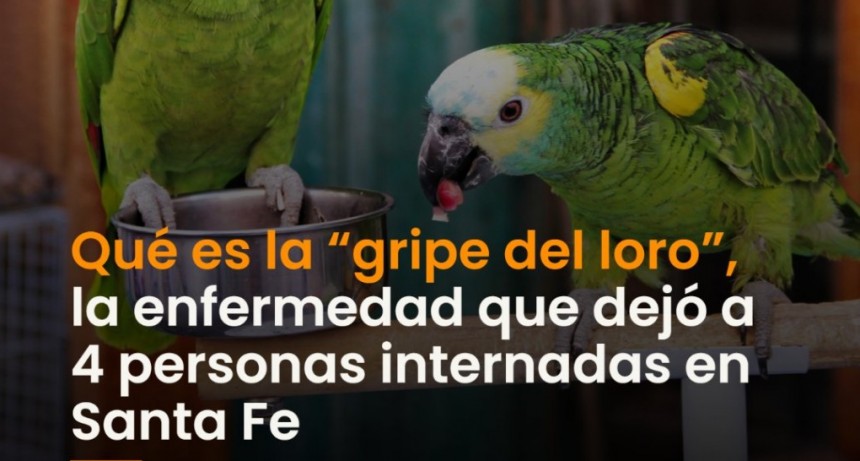 Fue dado de alta uno de los internados por la "gripe del loro" en Rafaela
