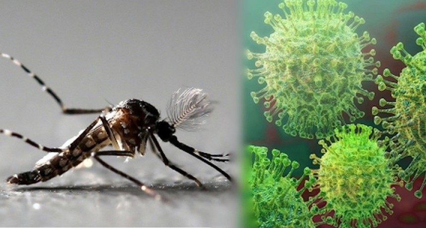 Santa Fe: confirman 124 nuevos casos de dengue y una muerte por covid
