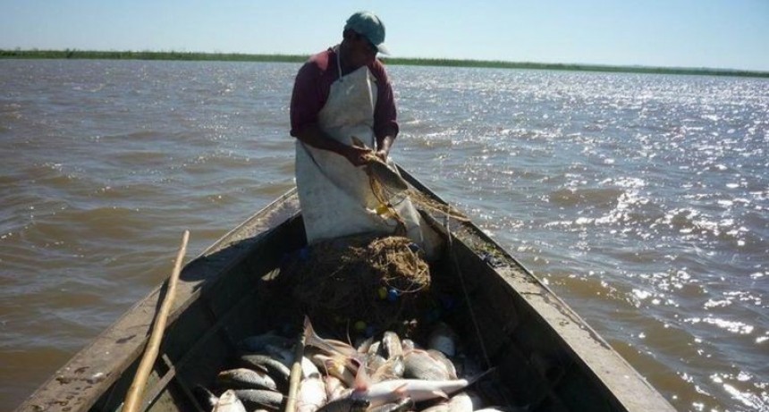 Detectan la mayor cantidad de agrot&oacute;xicos del mundo en s&aacute;balos del r&iacute;o Salado
