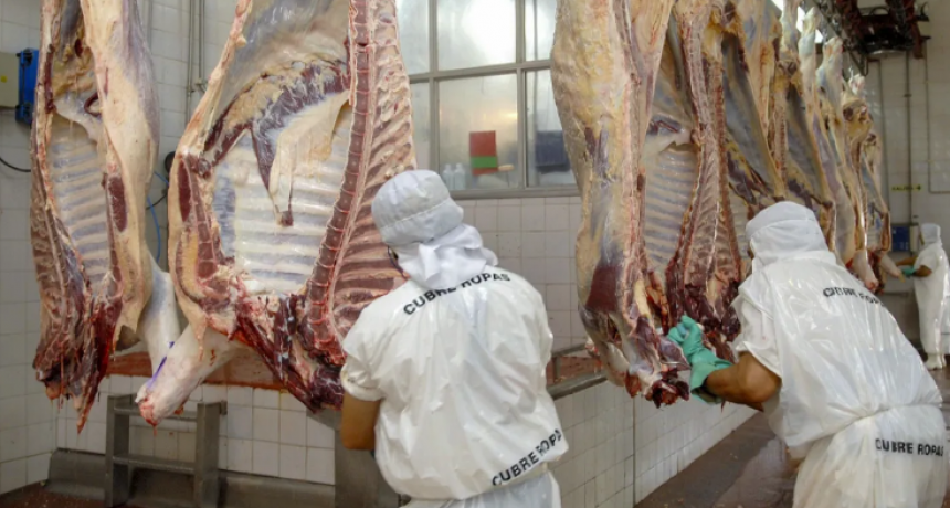 Carne vacuna: medidas para impulsar producci&oacute;n y consumo