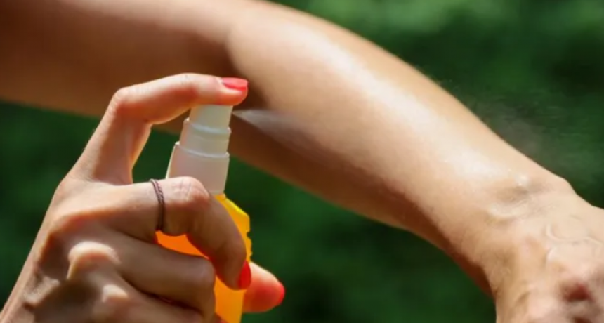 Dengue: c&oacute;mo evitar la proliferaci&oacute;n de mosquito aedes aegypti