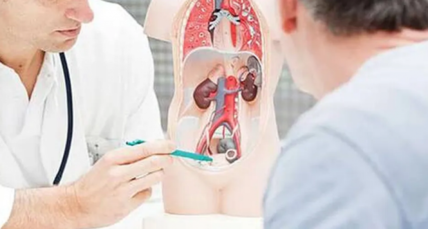 Innovaci&oacute;n en el tratamiento del c&aacute;ncer de pr&oacute;stata