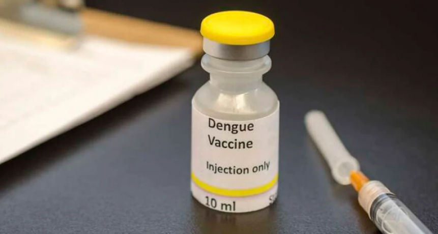 Hay vacuna contra el dengue: qui&eacute;nes podr&aacute;n acceder y desde cu&aacute;ndo