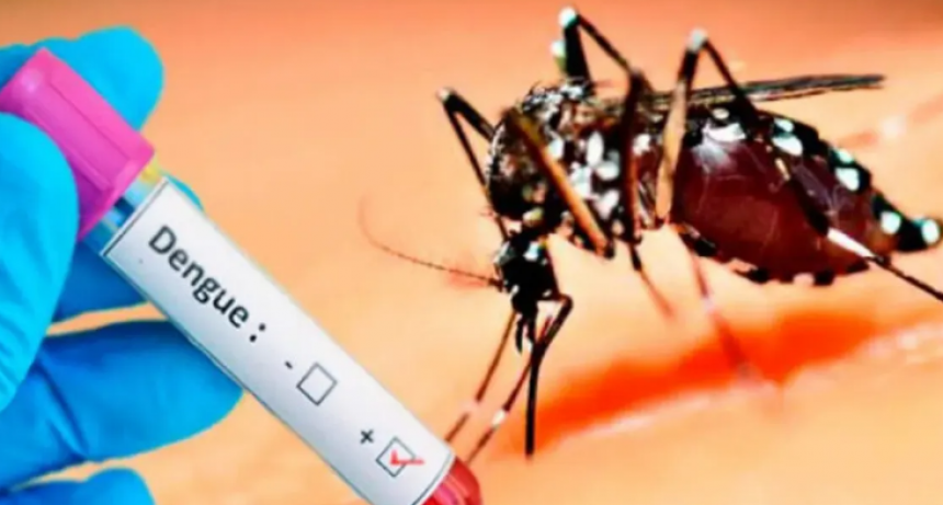 HIST&Oacute;RICO Dengue: 269 mil casos y 197 muertos desde octubre pasado