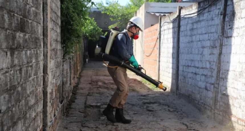 Leve descenso de los casos de dengue en la provincia