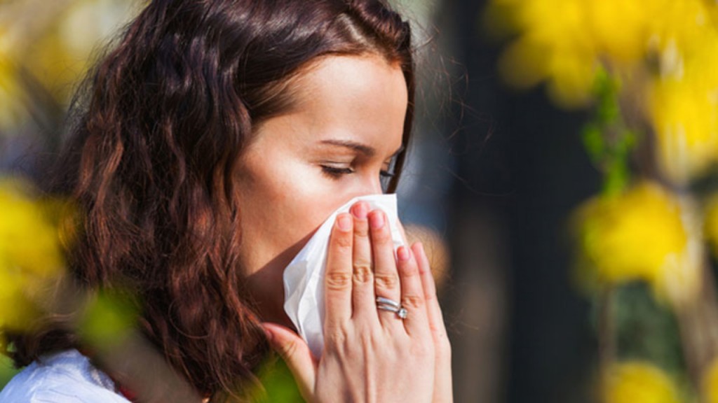 Alergias en primavera: recomiendan minimizar la actividad al aire libre y cerrar ventanas