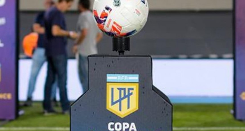 La Liga Profesional arrancar&aacute; a fines de enero y habr&aacute; tres descensos