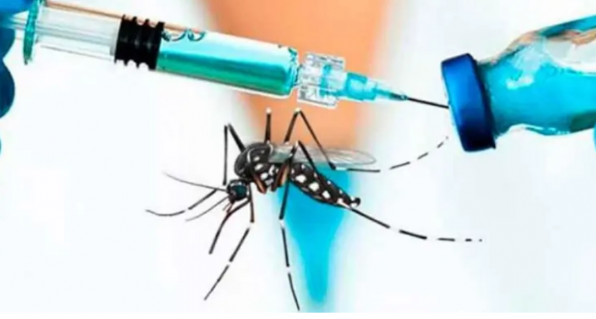 La vacuna contra el dengue estar&aacute; disponible antes de fin de a&ntilde;o en Santa Fe