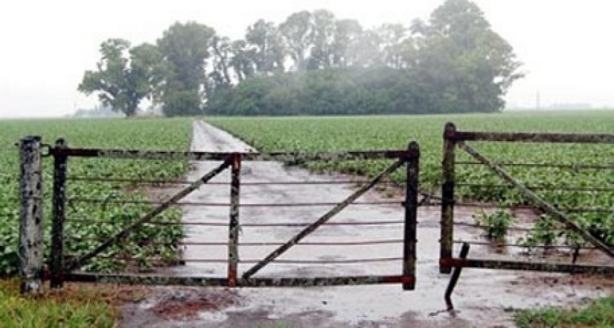 Las lluvias trajeron esperanza a productores de Sante Fe