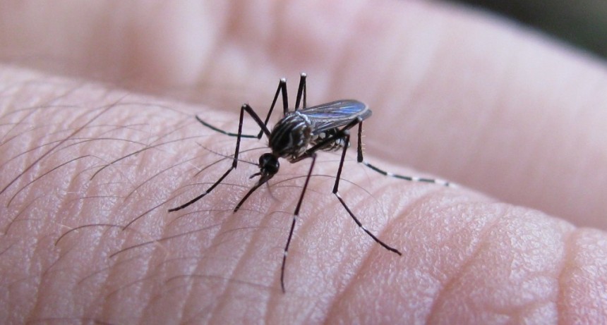 Empez&oacute; el calor, llegan las recomendaciones por el dengue