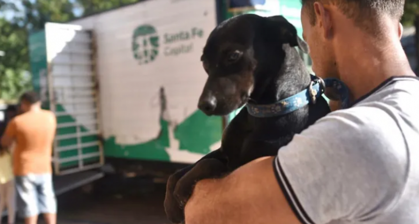 Santa Fe: campa&ntilde;as de vacunaci&oacute;n antirr&aacute;bica gratuitas