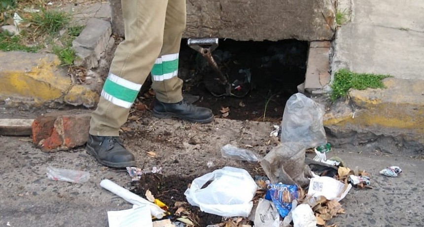 Trabajos de fumigaci&oacute;n, bacheo, iluminaci&oacute;n y drenaje urbano