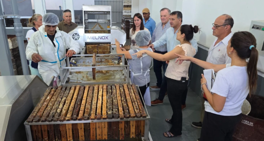 El Senador Michlig visit&oacute; la nueva Sala de Extracci&oacute;n de Miel de la Cooperativa de Apicultores de Ambrosetti